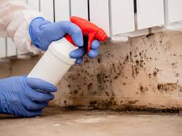 Best Mold Removal for HVAC Installations in Kaumakani, HI